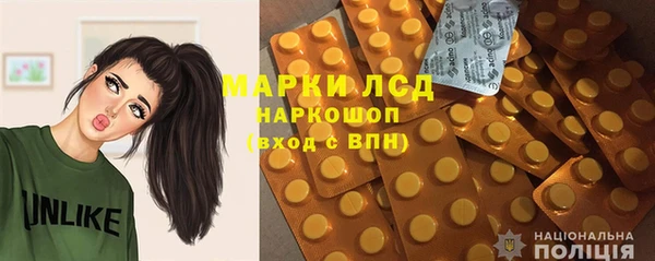 гидра Абаза
