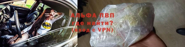 гидра Абаза