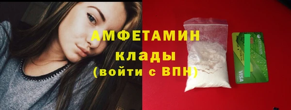 гидра Абаза