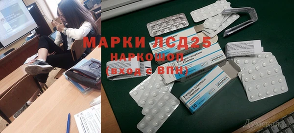 гидра Абаза