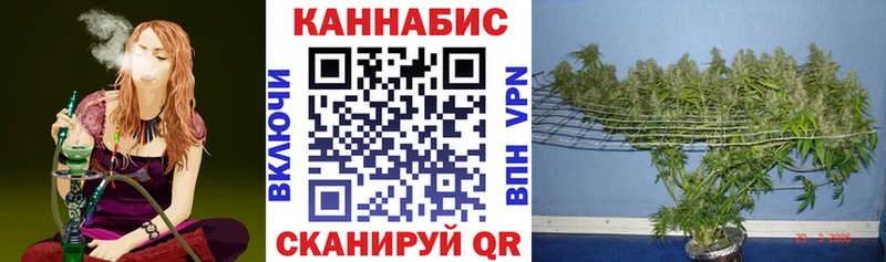 Марихуана VHQ Суздаль